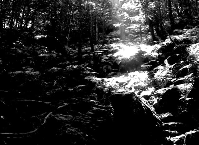 黒髪山の外観