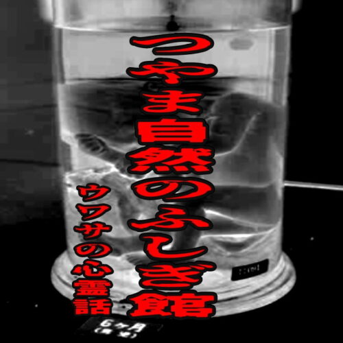 つやま自然のふしぎ館のウワサの心霊話