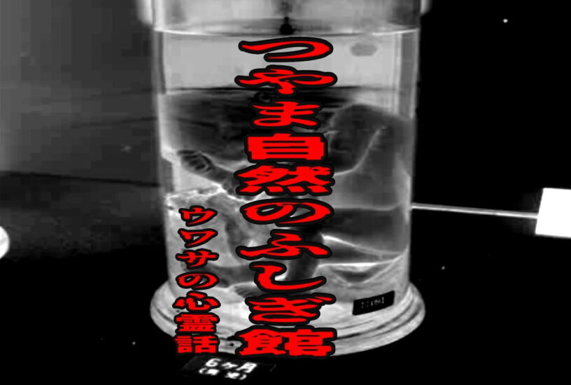 つやま自然のふしぎ館のウワサの心霊話