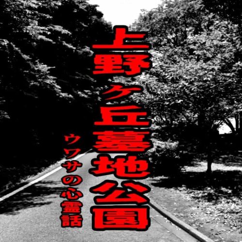 上野ヶ丘墓地公園のウワサの心霊話