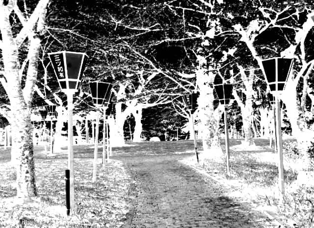丸子山公園の外観