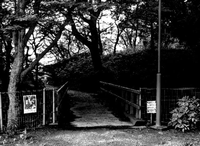 井戸公園の赤い橋の外観