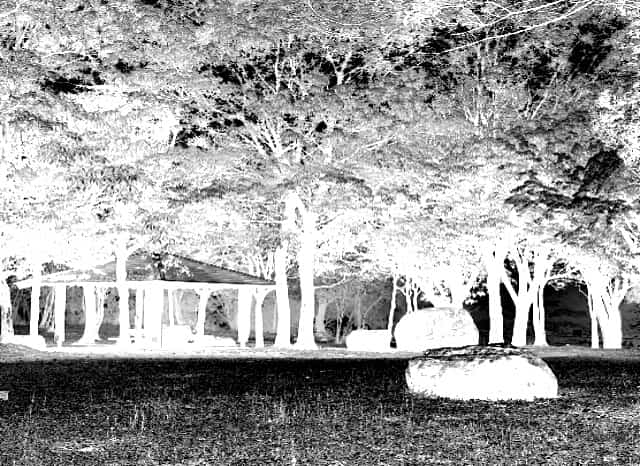 八重山公園の外観