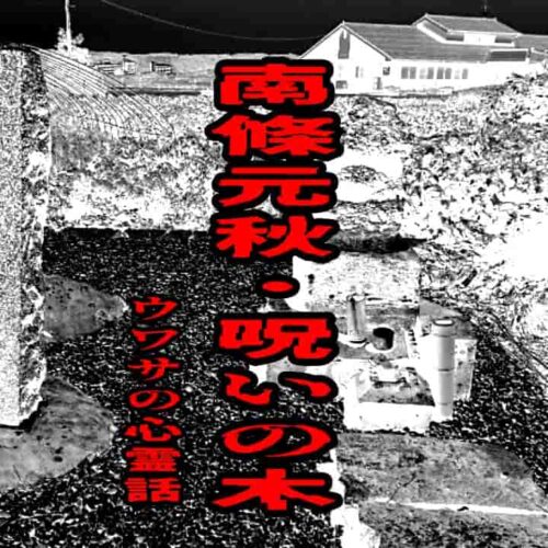 南條元秋・呪いの木のウワサの心霊話