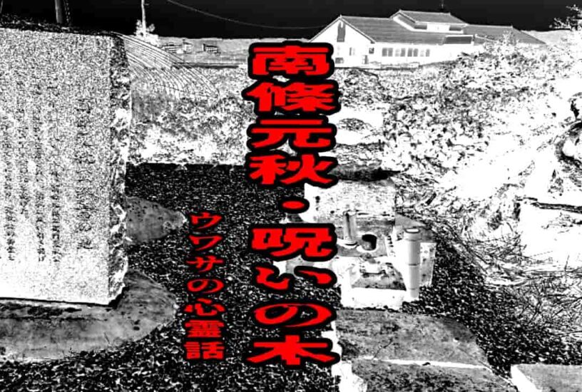 南條元秋・呪いの木のウワサの心霊話