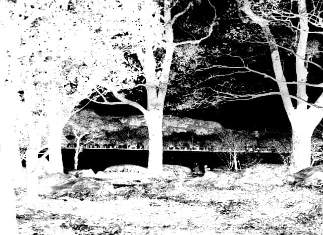 吉野公園の外観