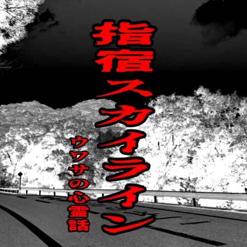 指宿スカイラインのウワサの心霊話