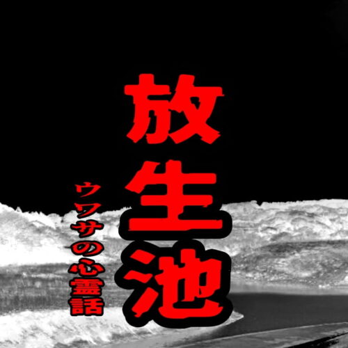 放生池のウワサの心霊話