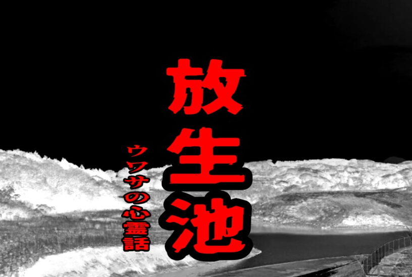 放生池のウワサの心霊話