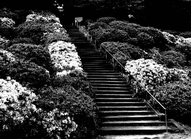 斐川公園の外観