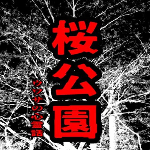 桜公園のウワサの心霊話
