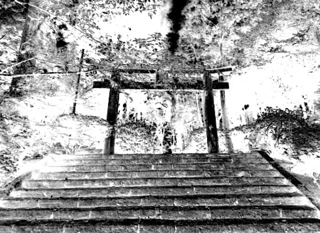 桜公園の外観