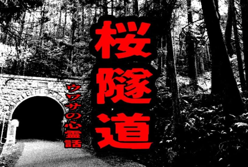 桜隧道のウワサの心霊話