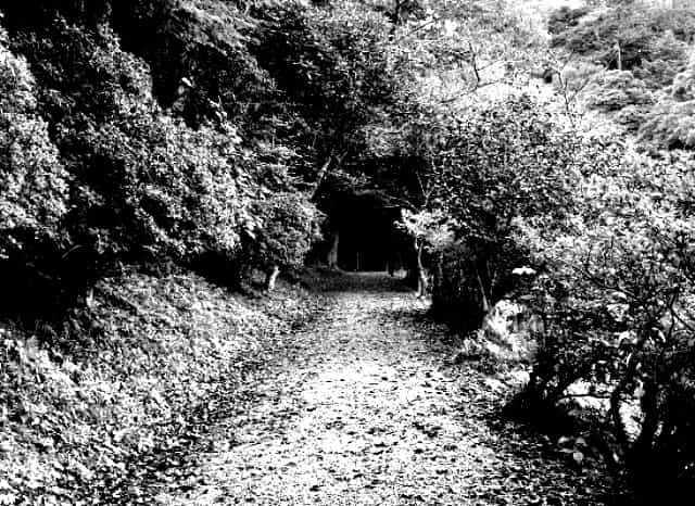 楽山公園の外観