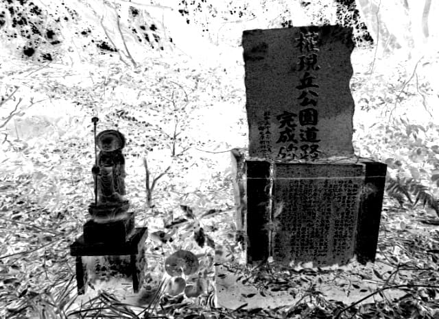 権現丘公園の外観