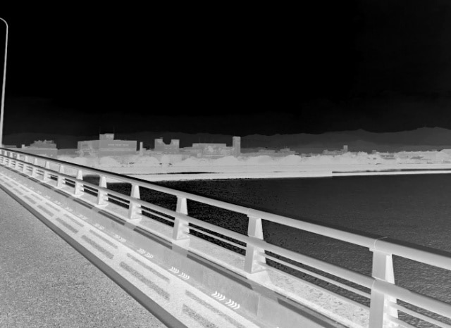 谷山臨海大橋の外観