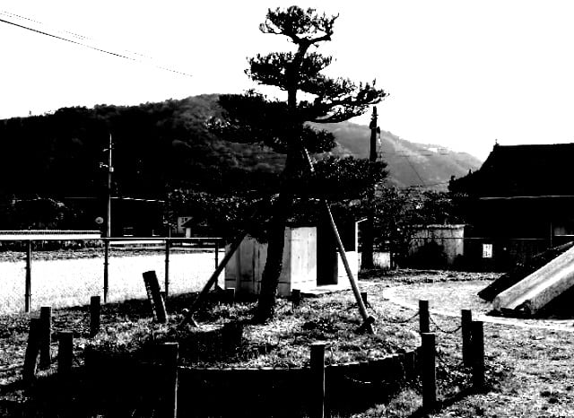 院庄東公園（睨み合いの松）の外観