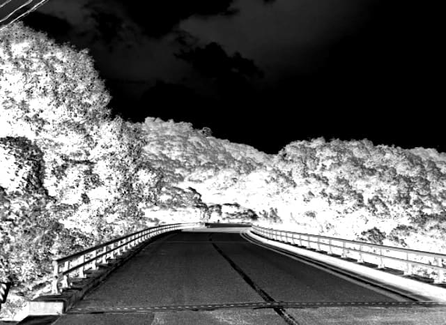 三曲橋の外観