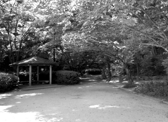 恵下山公園の外観