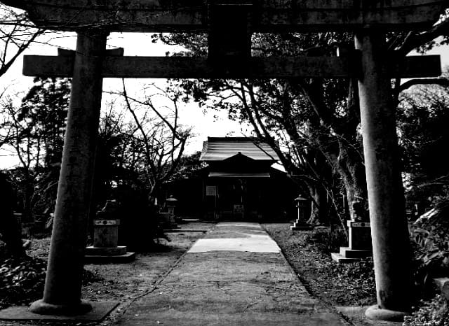 本山岬公園の外観