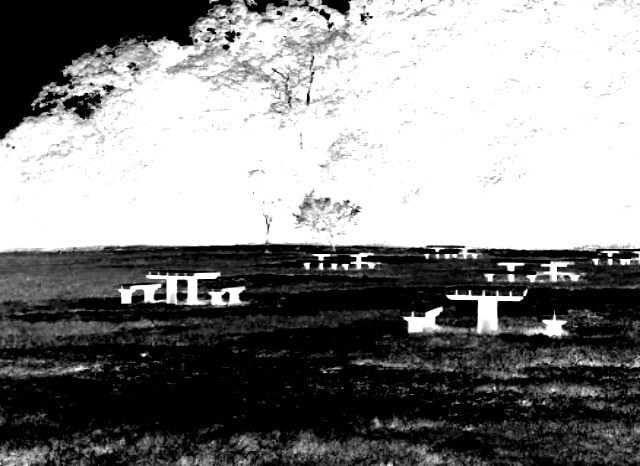江汐公園の外観