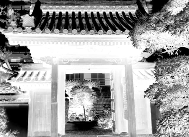 浄土真宗本願寺派妙蓮寺の外観
