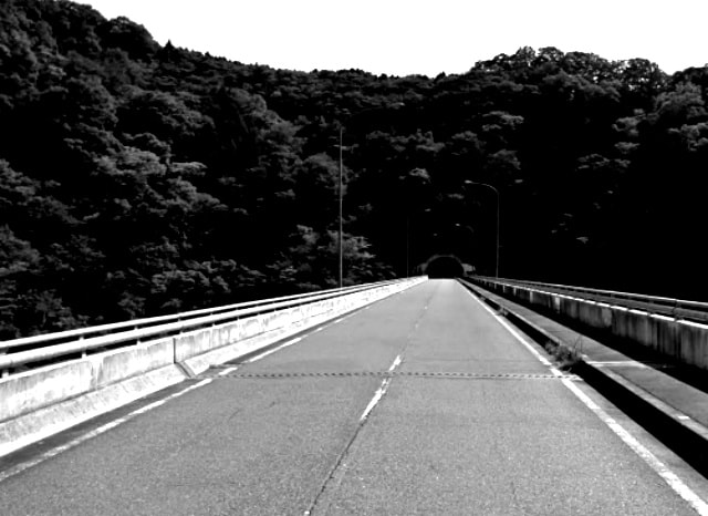 福桝川大橋の外観