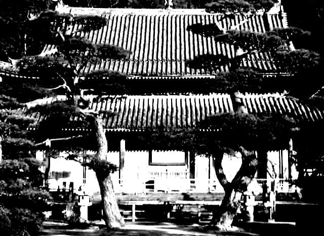 萩市の東光寺の外観