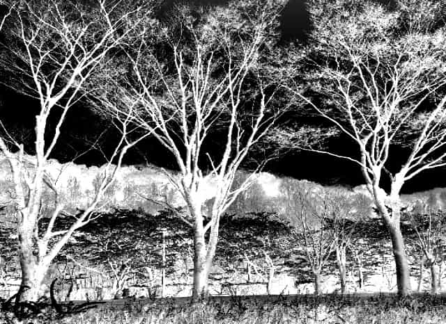 鏡山公園の外観