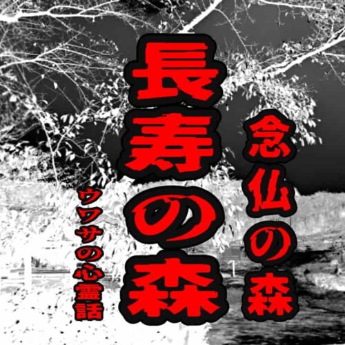 長寿の森（念仏の森）のウワサの心霊話