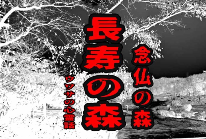 長寿の森（念仏の森）のウワサの心霊話