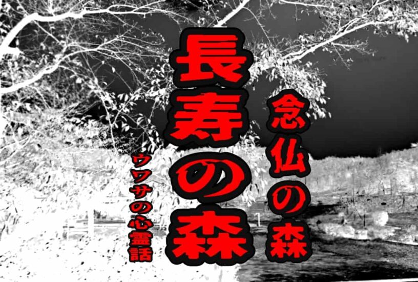 長寿の森（念仏の森）のウワサの心霊話