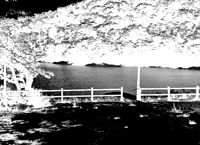 長寿の森（念仏の森）の外観