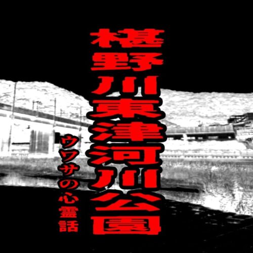 椹野川東津河川公園のウワサの心霊話
