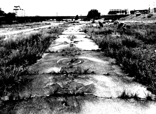 椹野川東津河川公園の外観