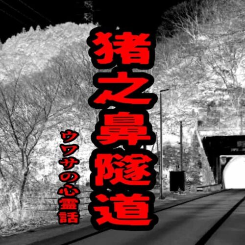 猪之鼻隧道（猪ノ鼻トンネル）のウワサの心霊話