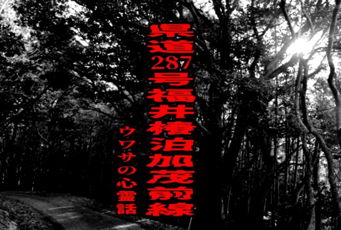 県道287号福井椿泊加茂前線のウワサの心霊話
