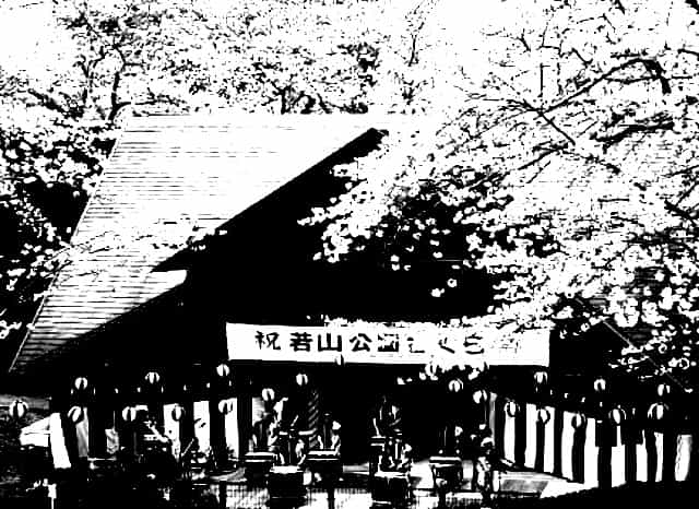 若山公園の外観