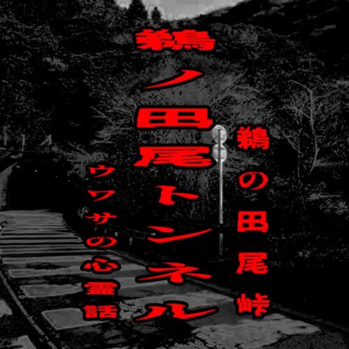 鵜ノ田尾トンネル（鵜の田尾峠）のウワサの心霊話