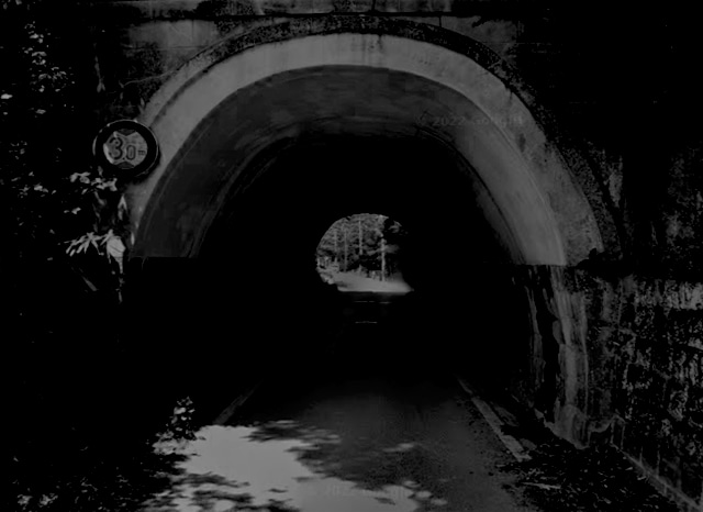 孕隧道（宇津野トンネル海側の旧道）の外観