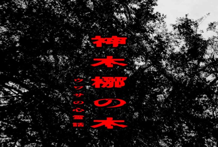 神木 梛の木のウワサの心霊話