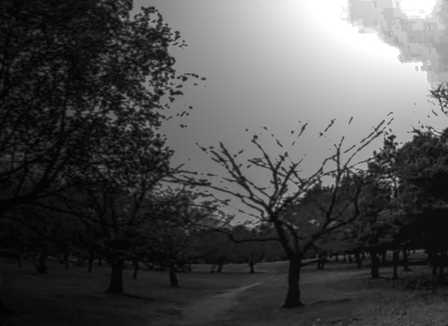 久宝寺緑地の外観