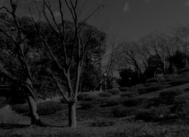 千島公園（昭和山）の外観