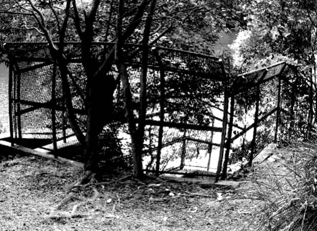 大蓮公園のゴーゴートンネル付近