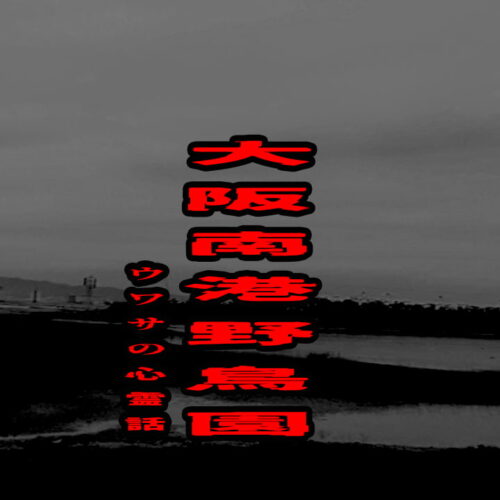 大阪南港野鳥園のウワサの心霊話