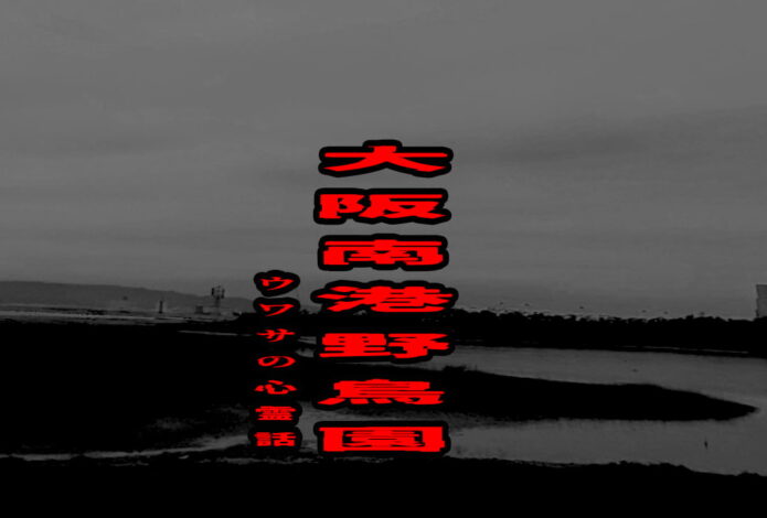 大阪南港野鳥園のウワサの心霊話