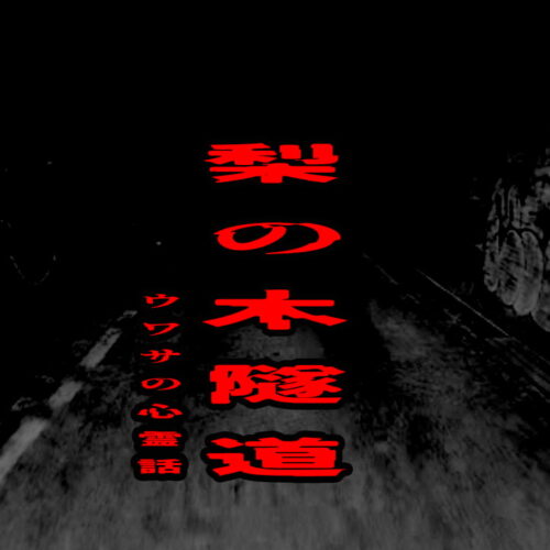 梨の木隧道のウワサの心霊話 (1)