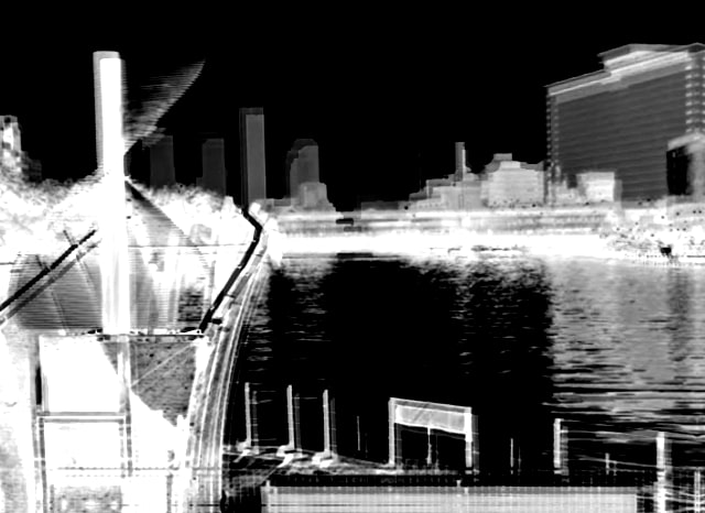 中之島公園の外観