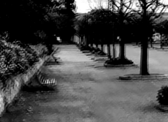 大浜公園の外観