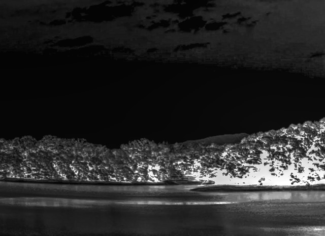 寺ヶ池公園の外観